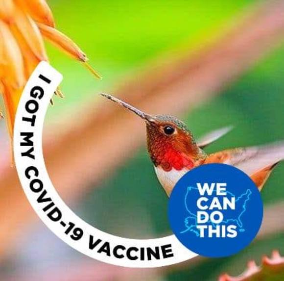 Meet your Posher, Linh-lizzie ngoc - Picture 1 of 1